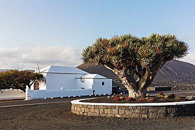 《RWBY：Arrowfell》中文版公布  5月25日发售